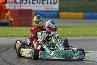 KZ2   Alessio Piccini (Tony Kart Vortex), ITALIAN ACI KARTING CHAMPIONSHIP