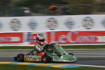 KZ2   Alessio Piccini (Tony Kart Vortex), ITALIAN ACI KARTING CHAMPIONSHIP