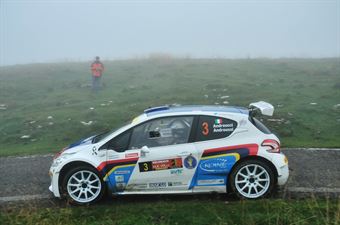 Paolo Andreucci, Anna Andreussi (Peugeot 208 T16, #3 Racing Lion);, CAMPIONATO ITALIANO ASSOLUTO RALLY SPARCO